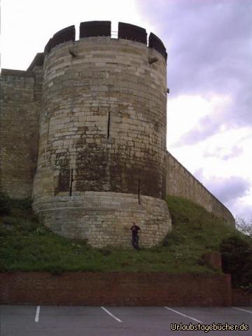 Lincoln Castle: Eno an der Schlossmauer des Lincoln Castle aus dem 11. Jh.