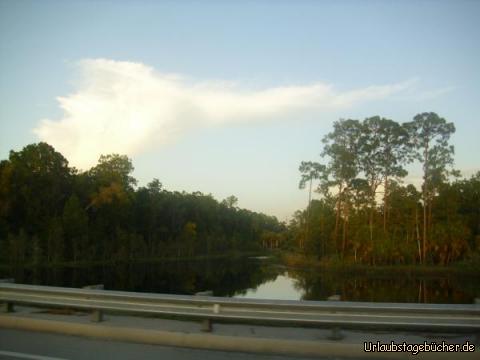 Big Cypress National Preserve: bevor wir den Süden Floridas wieder verlassen,
fahren wir noch durch den Big Cypress National Preserve