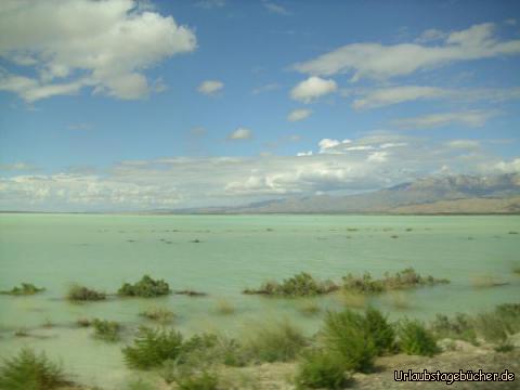 Salzsee: zu Füßen der Guadalupe Mountains passieren wir malerische Salzseen,
die 1877-78 sogar Grund für einen Krieg (den San Elizario Salt War) waren