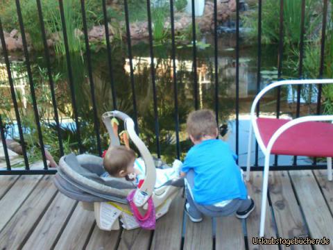 Fische füttern: mein Bruder Viktor (rechts) und ich (links) dürfen die Fische füttern,
die sich im Innenhofteich des Big Chile Inn von Las Cruces tummeln