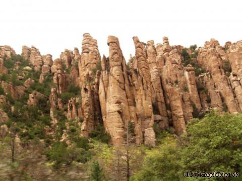 Organ Pipe Formations: bei unserer Fahrt durch das Chiricahua National Monument in Arizona,
geht es direkt vorbei an den beeindruckenden Felsen der Organ Pipe Formations