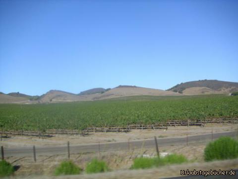 Santa Ynez Valley: wir fahren (gar nicht so weit von Michael Jacksons Neverland-Ranch entfernt)
durch das stark vom Weinanbau geprägte Santa Ynez Valley