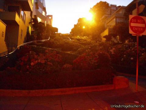 Lombard Street: es ist schon dunkel, als wir die Lombard Street in San Francisco befahren,
die als kurvenreichste Straße der Welt (crookedest street) bezeichnet wird