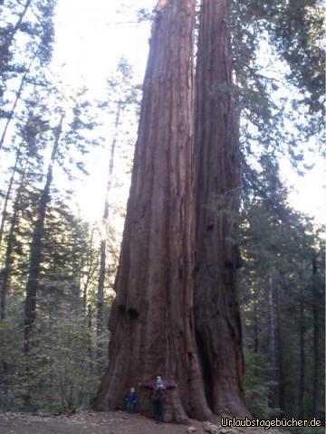 Mammutbäume: Mama (Katy), Viktor und ich (in Mamas Tragetuch) vor einem Mammutbaum,
eines der größten Lebewesen der Erde, im Yosemite National Park, Kalifornien