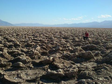 Mama auf Devils Golf Course : Mama (Katy) inmitten von zerklüfteten und spitzen Salzstrukturen,
die Devil’s Golf Course genannt werden und im Death Valley National Park liegen