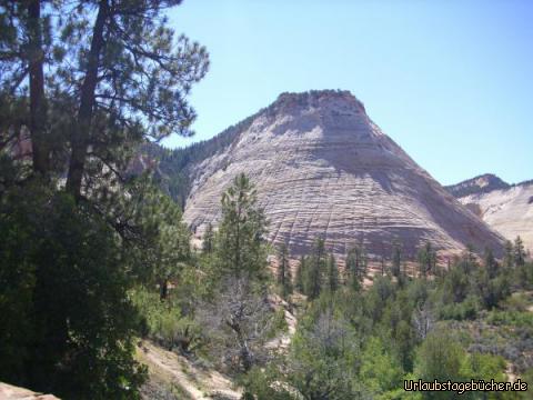 Checkerboard Mesa: das Letzte, was wir vom Zion National Park in Utah sehen,
bevor wir ihn durch den East Entrance wieder verlassen,
ist der 2033 m hohe Checkerboard Mesa (Schachbrett-Tafelberg),
einer der bekanntesten Sehenswürdigkeiten des Nationalparks 