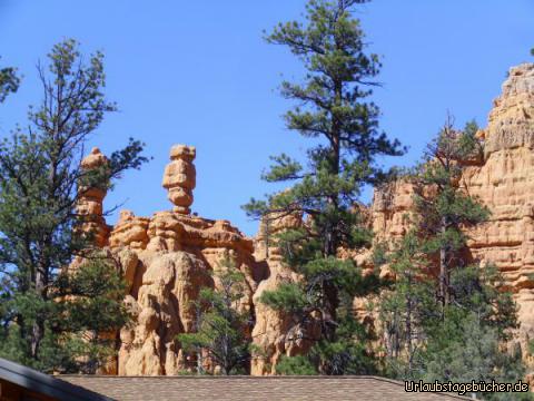 Red Canyon Visitor Center: auch direkt über bzw. hinter dem Red Canyon Visitor Center
erheben sich die bizarren roten Felsnadeln, für die der Red Canyon bekannt ist