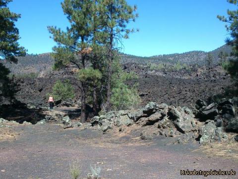 Lava Flow: hier steht Mama (Katy) vor dem ca. 800 Jahre alten Lavastrom des Sunset Crater,
einem 2451 m hohen Vulkan im Sunset Crater Volcano National Monument