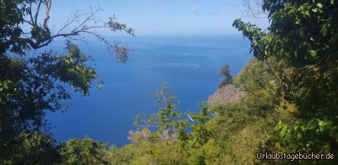 Ausblick am Nature Trail: 