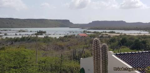 Ausblick Haus Nena Sanchez: 