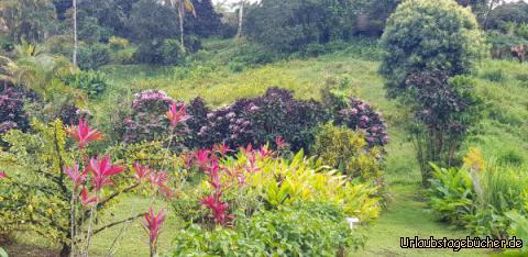 Ausblick Botanischer Garten: 