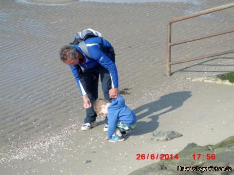 Muschelsuche: Wer findet die schönste Muschel?