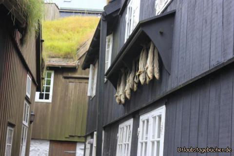 Torshavn6: 