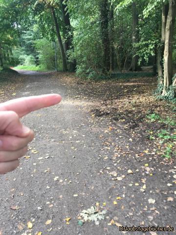 12_rechtsab: hier rechts!