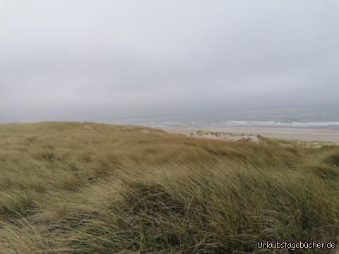 Meer: 