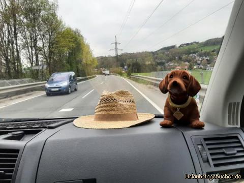 Wackeldackel: Wackeldackel