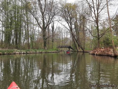 Spreewald: Paddeln im Spreewald