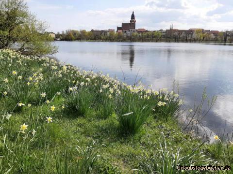 Schaugarten Waren: Schaugarten Waren