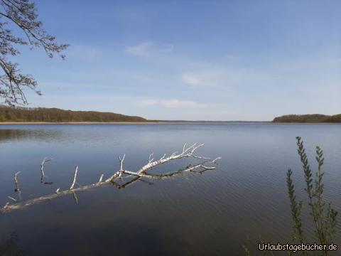 Kölpinsee 1: Kölpinsee