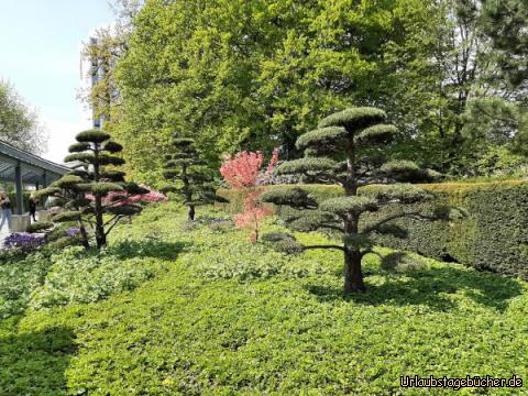Hamburg34: Japanischer Garten