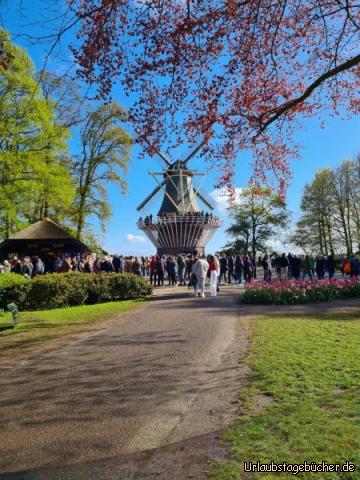 ehemalige Poldermühle: ehemalige Poldermühle