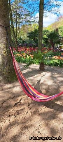 tropischer Inspirationsgarten: tropischer Inspirationsgarten