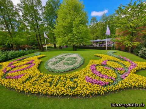 Blumenbild 75 Jahre Keukenhof: Blumenbild 75 Jahre Keukenhof