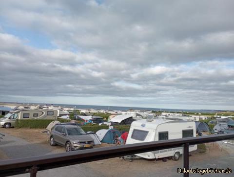 Naja: Muss man nicht