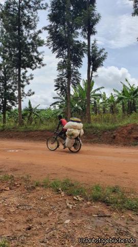 Fahrradladung2: Was da drin ist....?