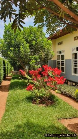 Natur in Ngarama: Schöne Natur in der Anlage in Ngarama