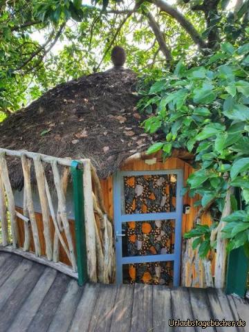 Baumhaus1: Unser Quartier im Avocadobaum!