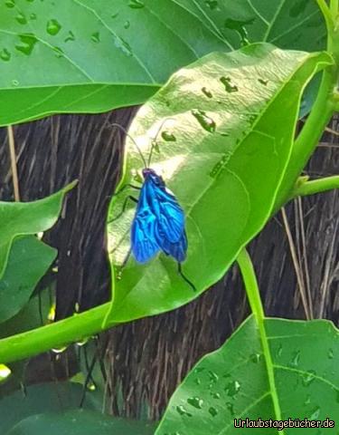 Wanderung8: Schönheiten am Wegesrand!