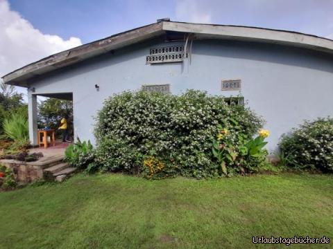Außen 1: Wenn alle Fenster zugewachsen sind muss auch das wild wuchernde Grün mal weichen!