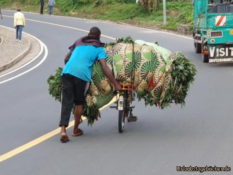 Fahrradbeladung: Allmorgendliches Futter für die Tiere!