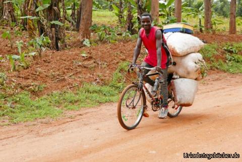 Umgebung 1: Das Fahrrad ist das wichtigste Transportmittel!