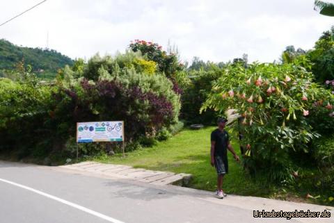 Eingang: Kazu hat am Eingang ein neues Transparent aufgebaut: größer als das vorige und gut sichtbar, vor allem auch waagerecht! Denn die Konkurrenz schläft nicht: 3 Häuser weiter hat ein Anbieter ein gut sichtbares Büro direkt an der Straße. Er hat zwar keine Bikes hier vor Ort, vermittelt aber Bike-Touren und holt dann die Räder von der 50 km entfernten Stadt.