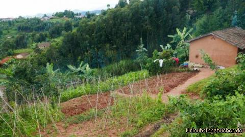 kivu13: Haus mit Garten und Wäsche zum trocknen