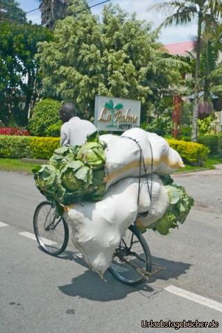 unterwegs 2: Fahrraqdspediteure