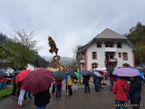 Maibaum aufstellen : 