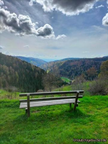 Rheintalblick 14: 