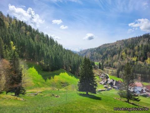 Rheintalblick 7: 