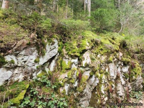 Wanderung Antonius Hütte3: 