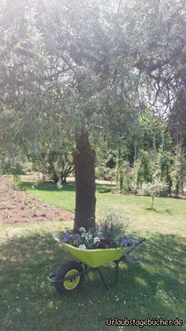 Dekoration: Dekoration