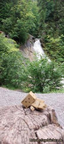 Danbo war auch wieder mit 01: Danbo war auch wieder mit 01