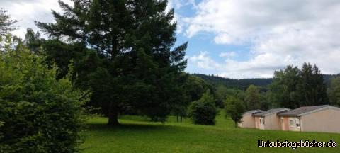 Blick in die Berge: Blick in die Berge