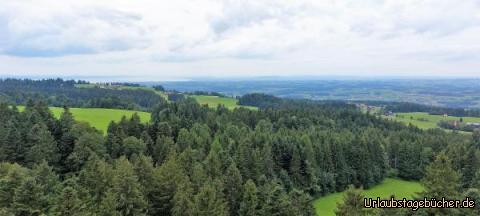 Blick zum Bodensee: Blick zum Bodensee