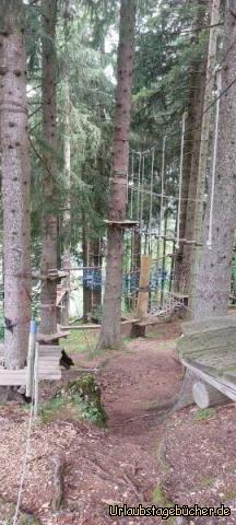 Im Kletterwald: Alpaka