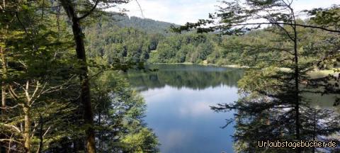 Freibergsee: Freibergsee