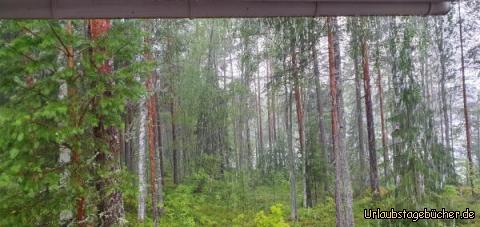 Regen 1: …und noch mehr Regen…