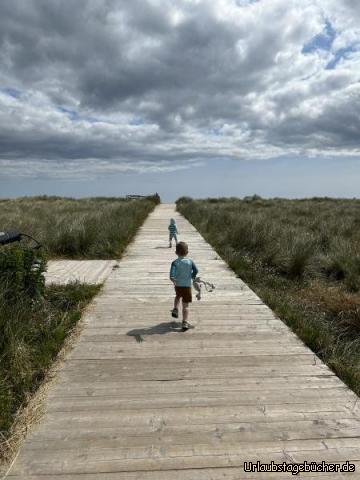 Beach: Rosslare Harbour